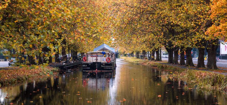 Grand canal dublin at autumn