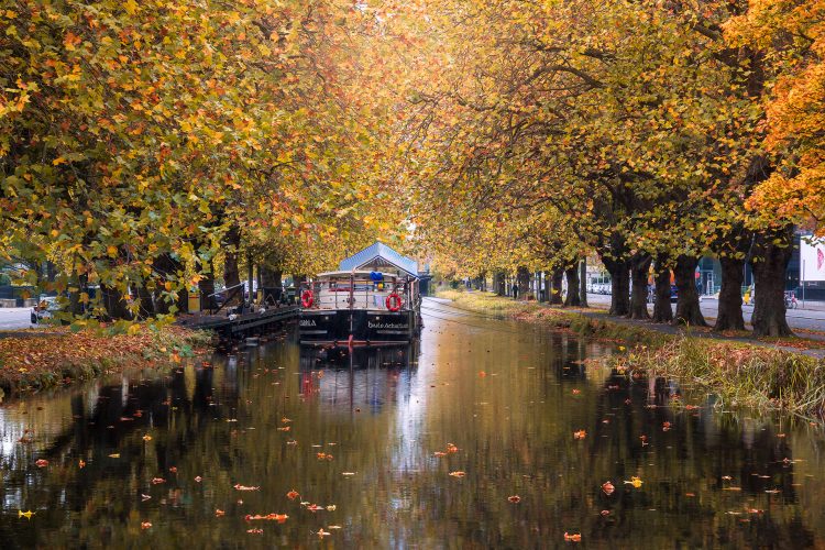 Grand canal dublin at autumn