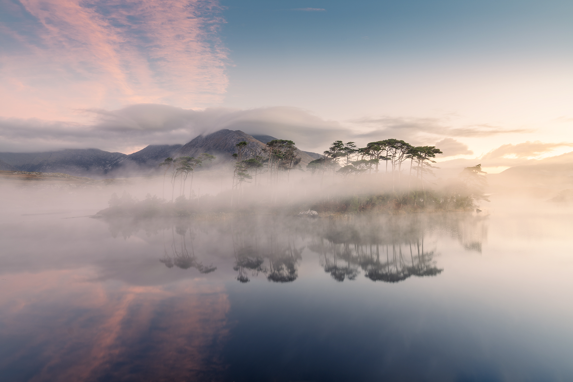 pine-island-connemara-sunrise