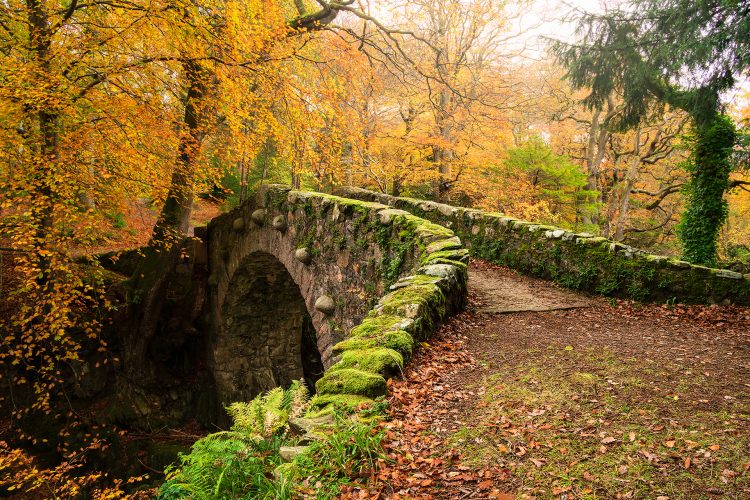 foleys bridge tollymore forest park autumn