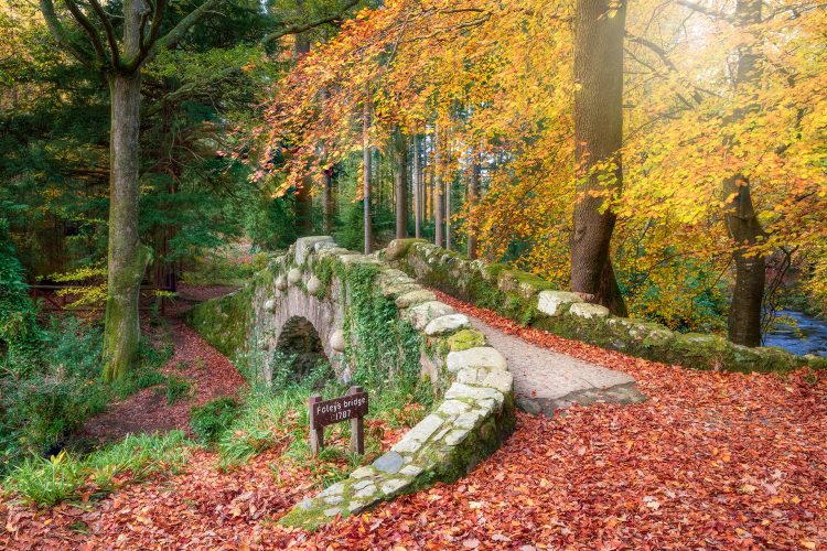 tollymore forest foleys bridge