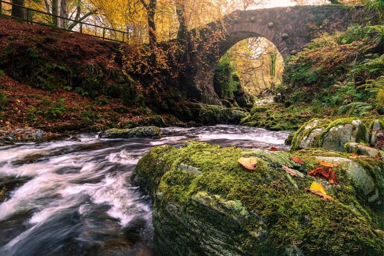 shimna river tollymore forest park autumn